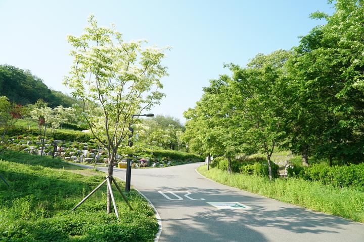 천왕산 가족캠핑장