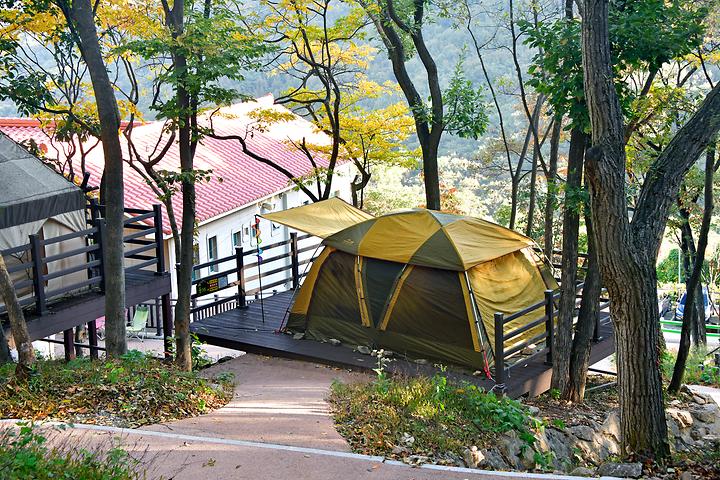 (주)신어산 자연숲캠핑장