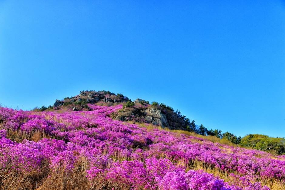 대금산(거제)