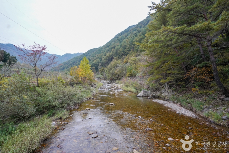 고선계곡(구마계곡)